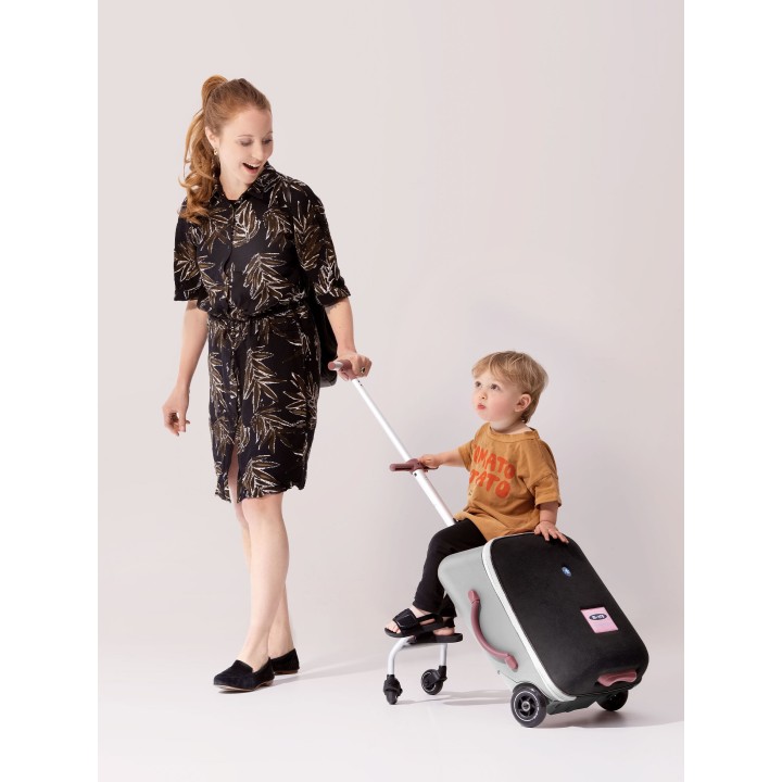 Micro Luggage Eazy Rose 