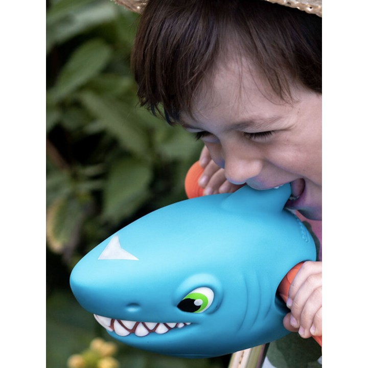 Tête de requin bleu